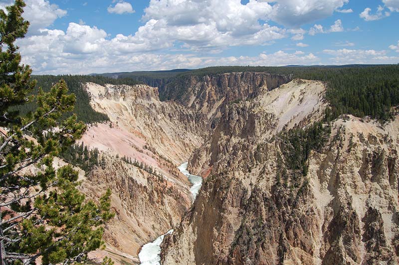 yellowstone national park tours from las vegas