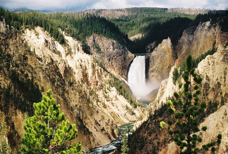 yellowstone national park tours from denver