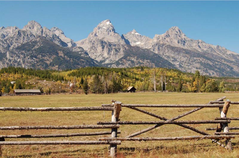 Yellowstone tours from Jackson Yellowstone Tours