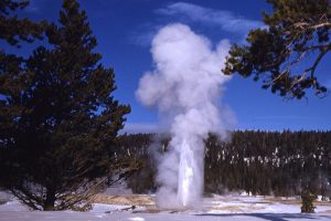 yellowstone