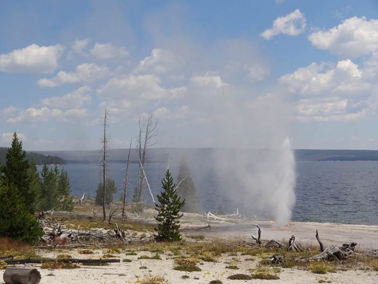 Yellowstone tours from San Francisco Yellowstone Tours