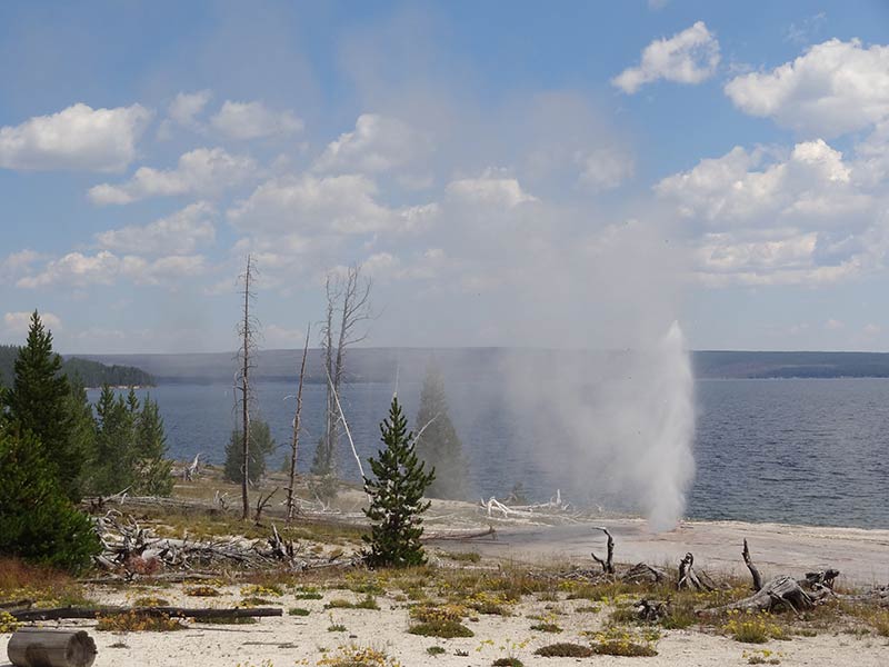 yellowstone national park tours from san francisco