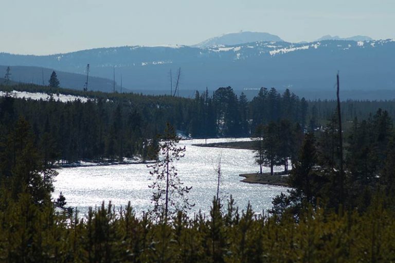 Yellowstone tours from Los Angeles Yellowstone Tours