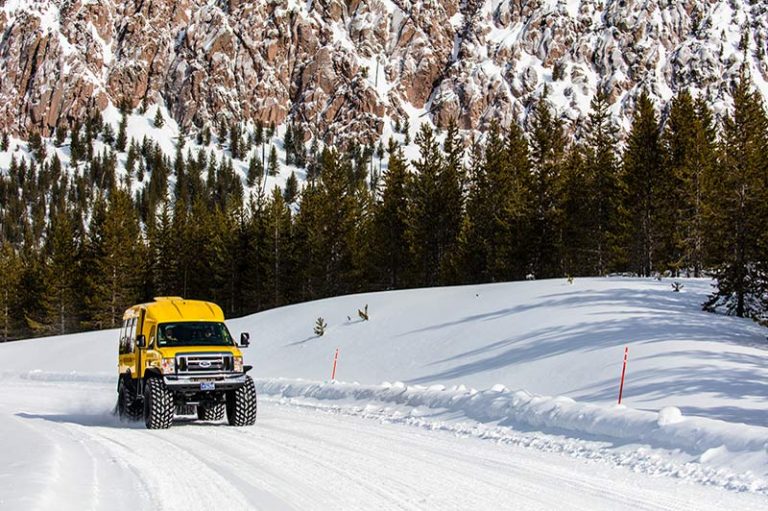 yellowstone winter tours from jackson hole